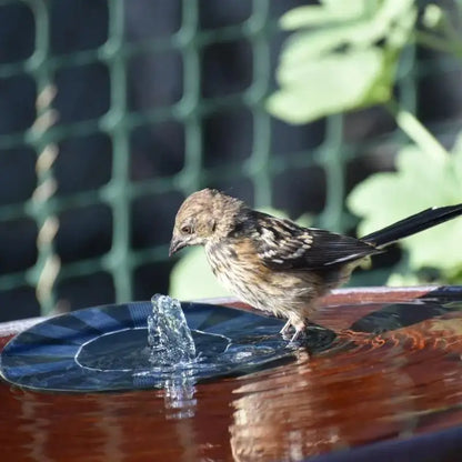 Solar Powered Spray Fountain